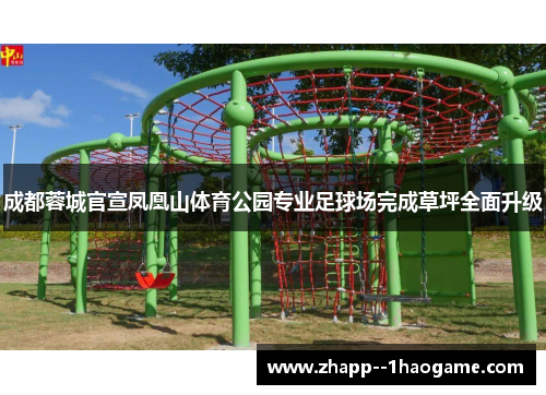 成都蓉城官宣凤凰山体育公园专业足球场完成草坪全面升级